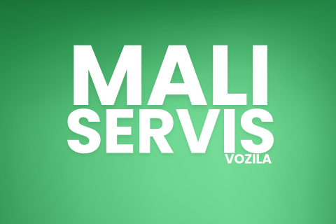 Mali servis