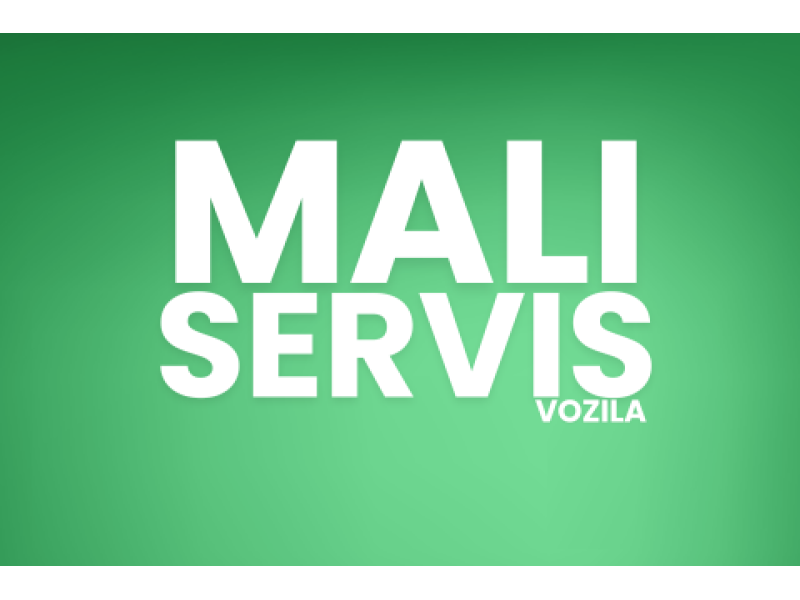 Mali servis