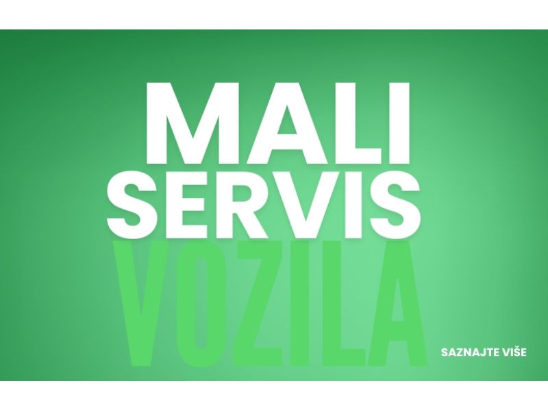 Mali servis