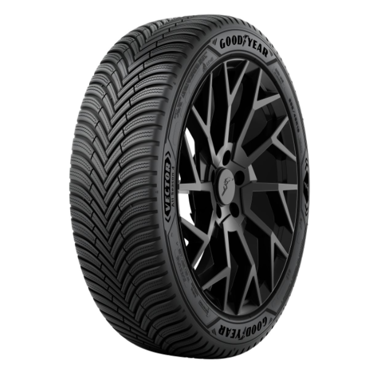 205/55R16 VECTOR ALL SEASON 4 94V XL. 