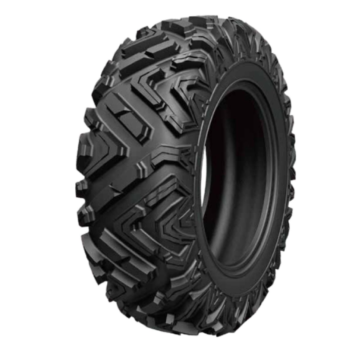 25X10R12 BRUISER AR69 6PR TL 