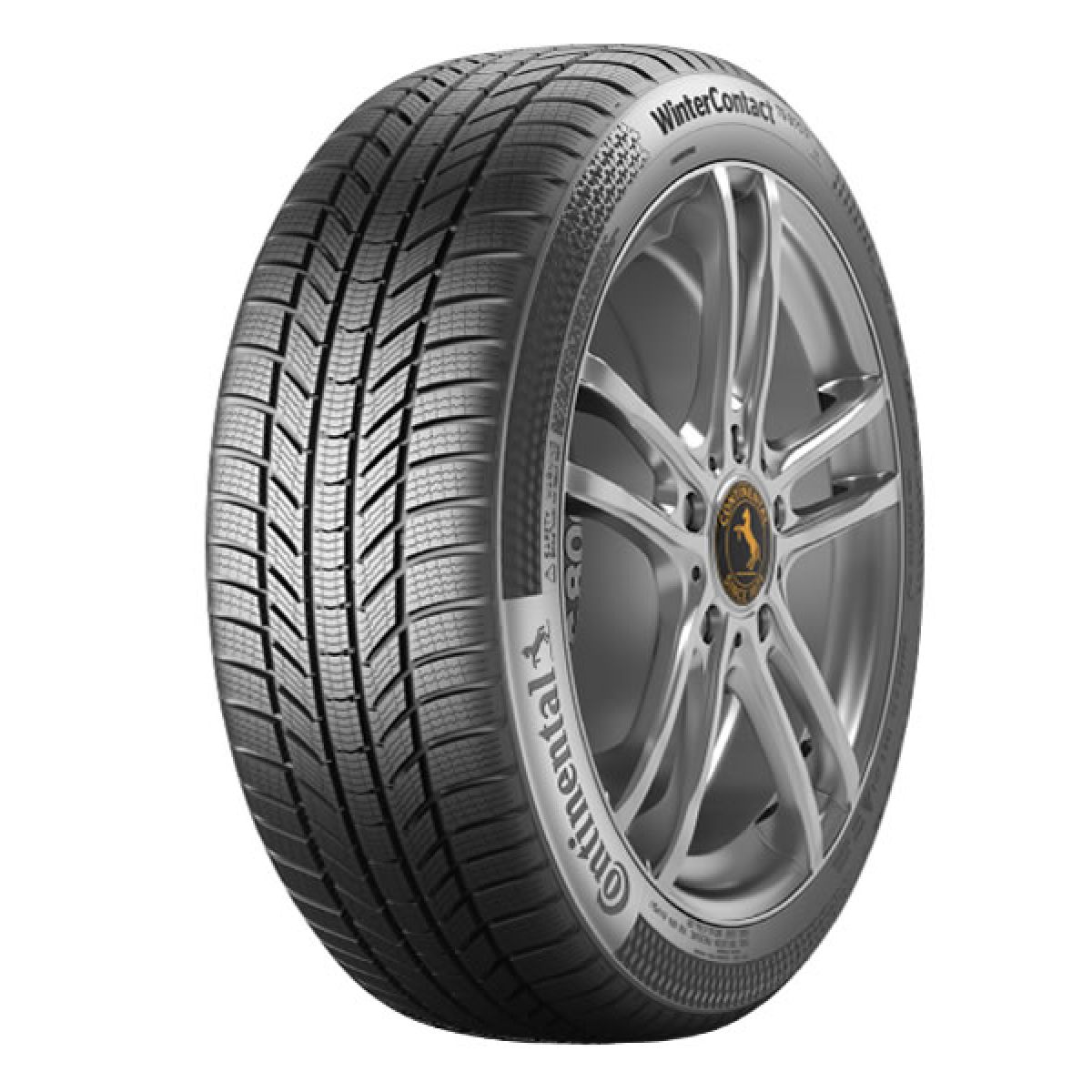 245/45R19 Conti Win TS 870 P 102V XL FR 