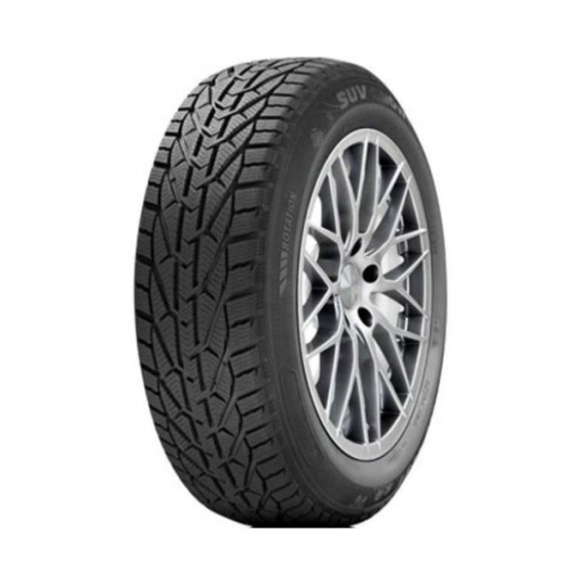 205/50R17 WINTER 93V XL 
